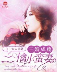 三婚成瘾:二擒小蛮妻