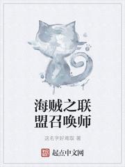 海贼之联盟召唤师