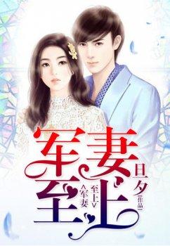 军妻至上