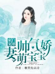 豪门宠婚:帅气娇妻萌宝宝