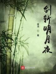 剑斩明月夜