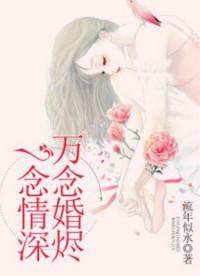 一念情深万念婚烬