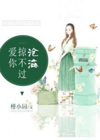 爱你掠不过沧海