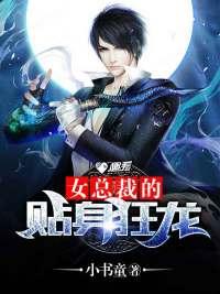 女总裁的贴身狂龙