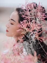 花开满城情难逃