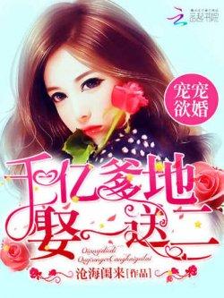 宠宠欲婚:千亿爹地娶一送二