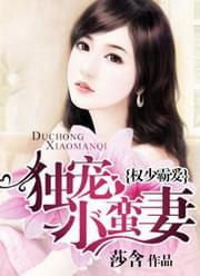 权少霸爱:独宠小蛮妻