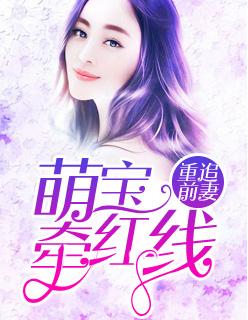 重追前妻:萌宝牵红线