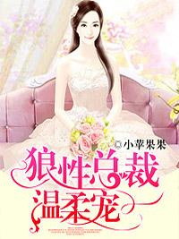 狼性总裁温柔宠