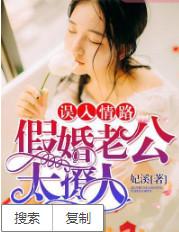 误入情路假婚老公太撩人