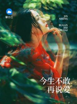 今生不敢再说爱