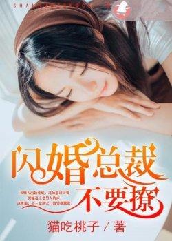 闪婚总裁不要撩