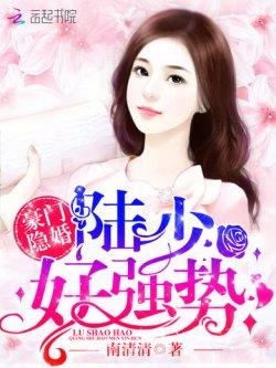 豪门隐婚:陆少,好强势
