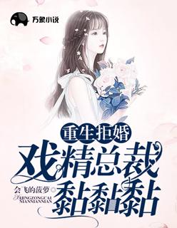 重生拒婚:戏精总裁黏黏黏