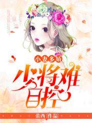小妻多娇少将难自控