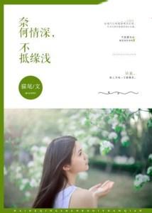 奈何情深,不抵缘浅