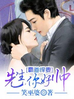 霸道悍妻:先生,你好帅