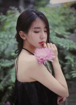 闪婚蜜宠总裁慢慢爱