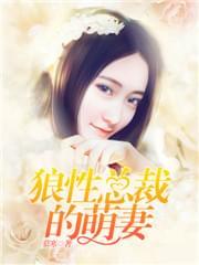 狼性总裁的萌妻