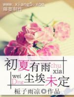 初夏有雨,尘埃未定