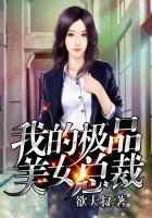 我的极品美女总裁