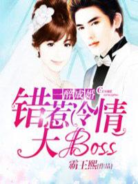 一醉成婚:错惹冷情大boss