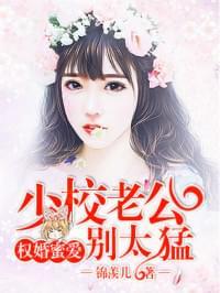 权婚蜜爱:少校老公别太猛