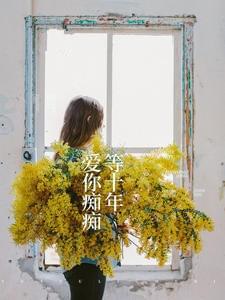爱你痴痴等十年