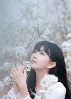 为了你,疯了世界