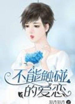 不能触碰的爱恋