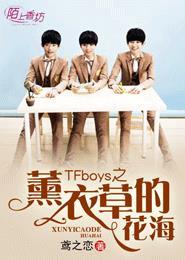 TFboys之薰衣草的花海