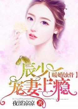 暖婚蚀骨,辰少宠妻上瘾