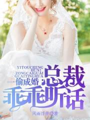 一偷成婚:总裁乖乖听话