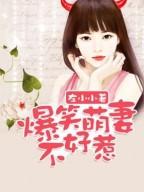 爆笑萌妻不好惹