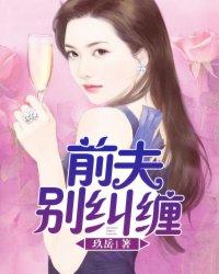 前夫,别纠缠