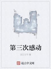 第三次感动