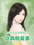 婚后冷战薄情老公:总裁的爱妻