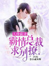 天价前妻:霸情总裁求别撩