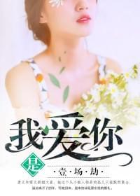 我爱你，是一场劫