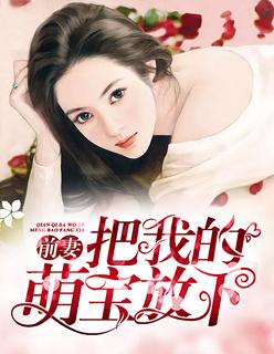 前妻,把我的萌宝放下