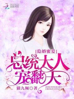 隐婚蜜爱:总统大人,宠翻天!