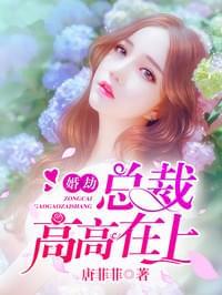 婚劫:总裁高高在上