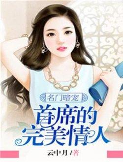 名门暗宠:首席的完美情人