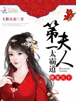 绝宠天下:第一夫人太霸道