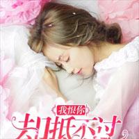 我恨你，却抵不过爱你