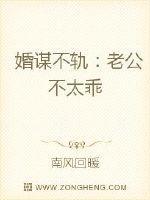 婚谋不轨:老公不太乖