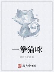 一拳猫咪
