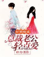 好婚晚成:总裁老公轻点爱