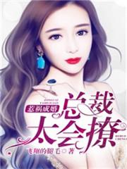 惹祸成婚:总裁太会撩