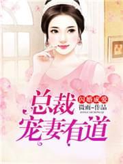 闪婚成爱:总裁宠妻有道